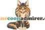 Maine Coon Cats Perfect for Families